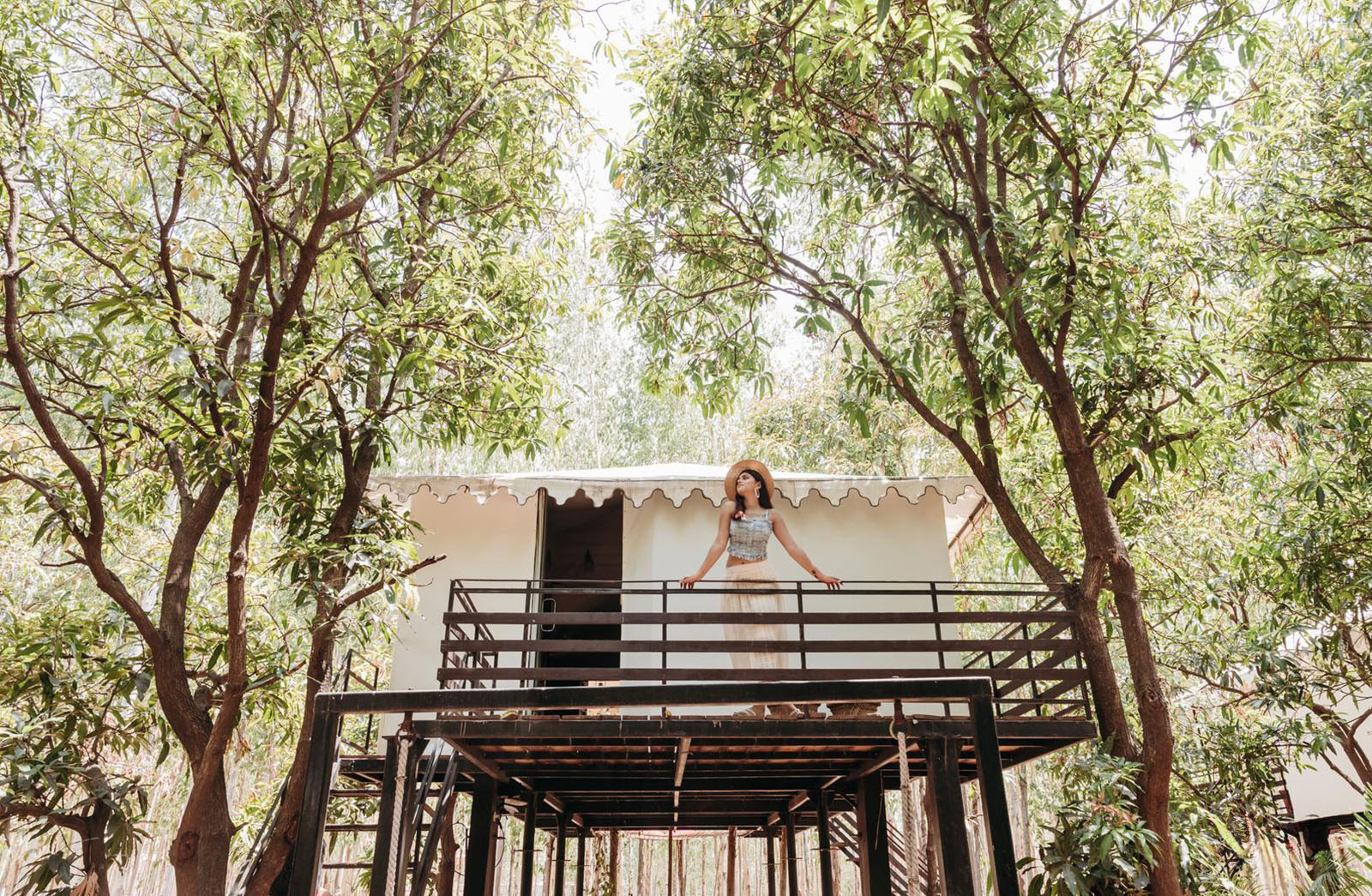 Accommodation-Treetop-Tents-2