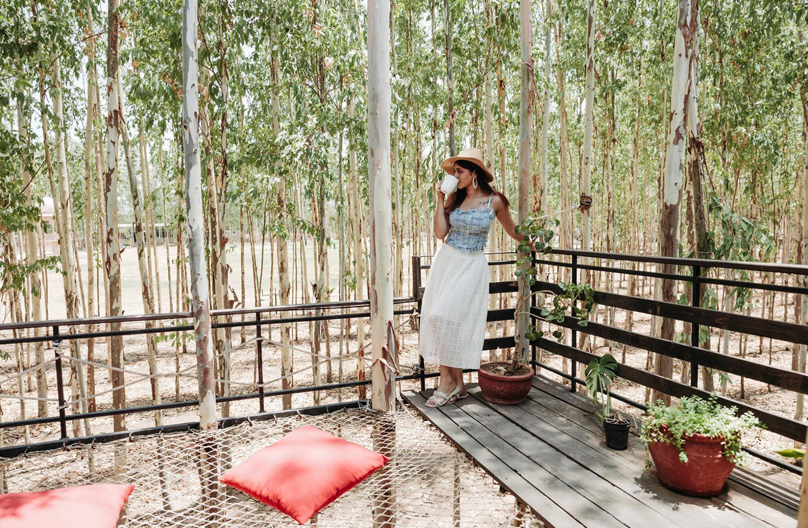 Accommodation-Treetop-Tents-3