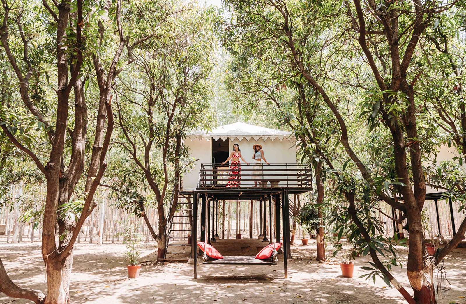 Accommodation-Treetop-Tents-4